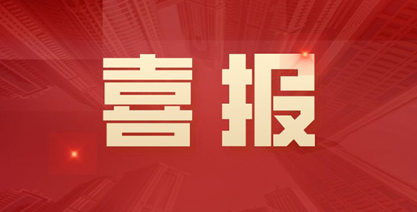喜報！華日升公司榮獲各級表彰